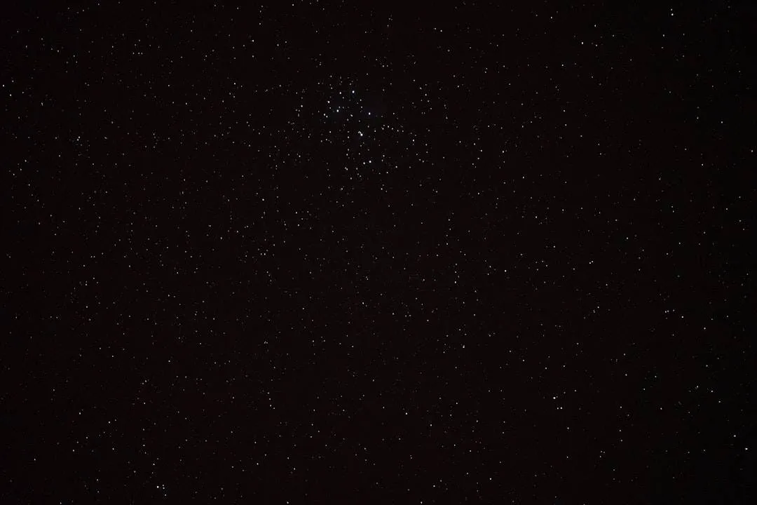 Photo 1 Models 2 Presell 3 Black 4 Strategy